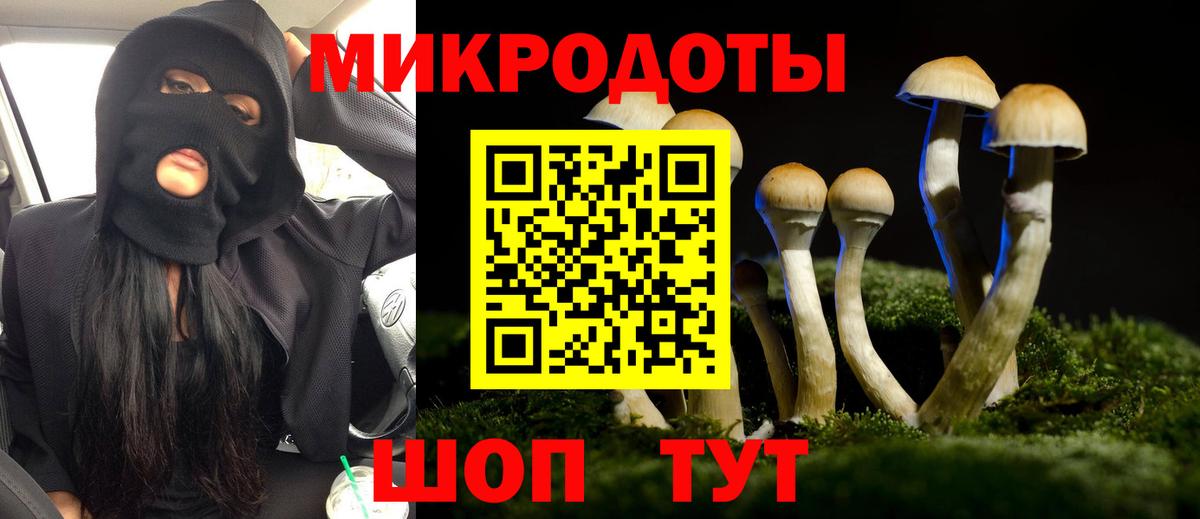 Псилоцибиновые грибы Cubensis  Псилоцибиновые грибы Psilocybe  Белово  Вход с VPN 